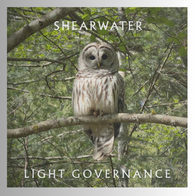Portada de “Light Governance” de Shearwater