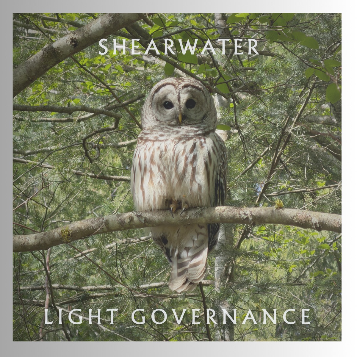 Portada de “Light Governance” de Shearwater